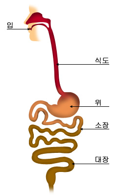 의약품 이미지